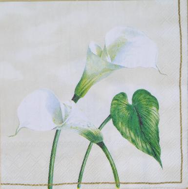 Napkin MIX1