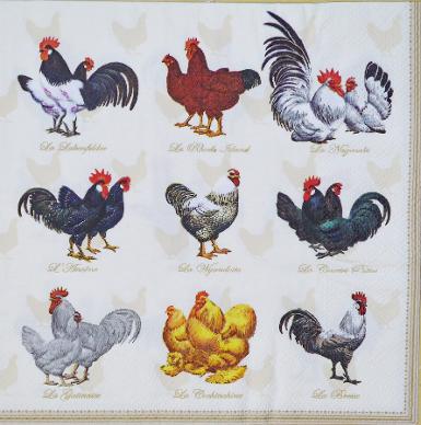 Napkin MIX24