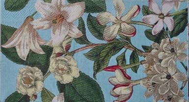 กระดาษ Napkin - MCL7 11x20cm
