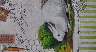 กระดาษ Napkin - MCL8 11x20cm